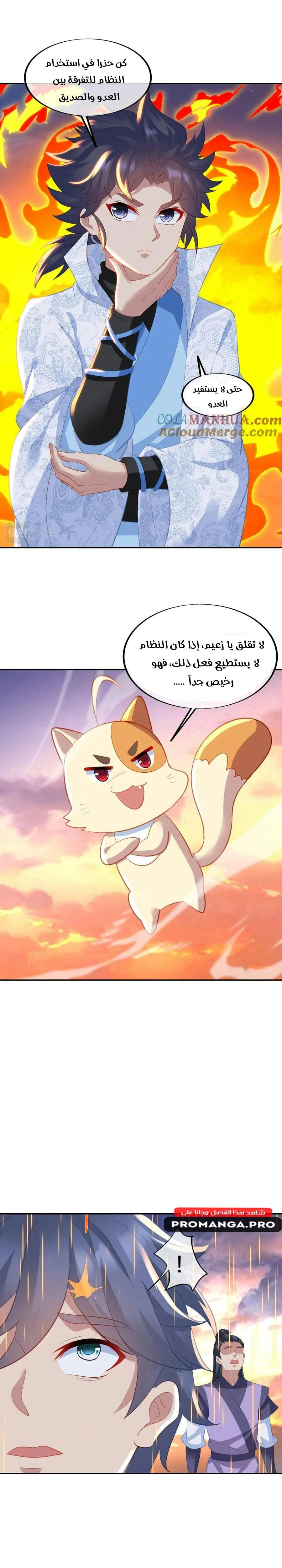 Chapter Image 5